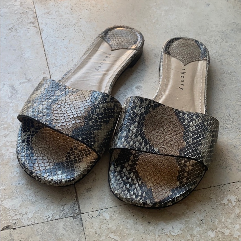 Theory snake skin slides!